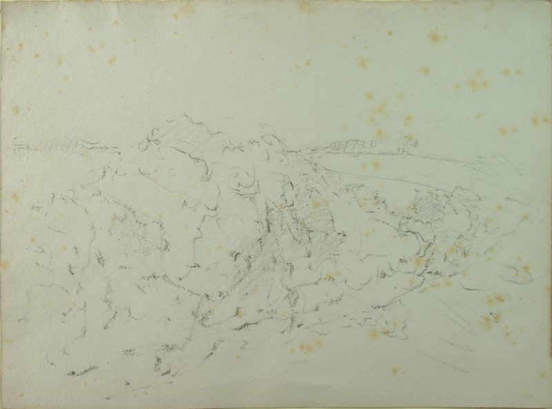1930-1940 ca. -  Alberi